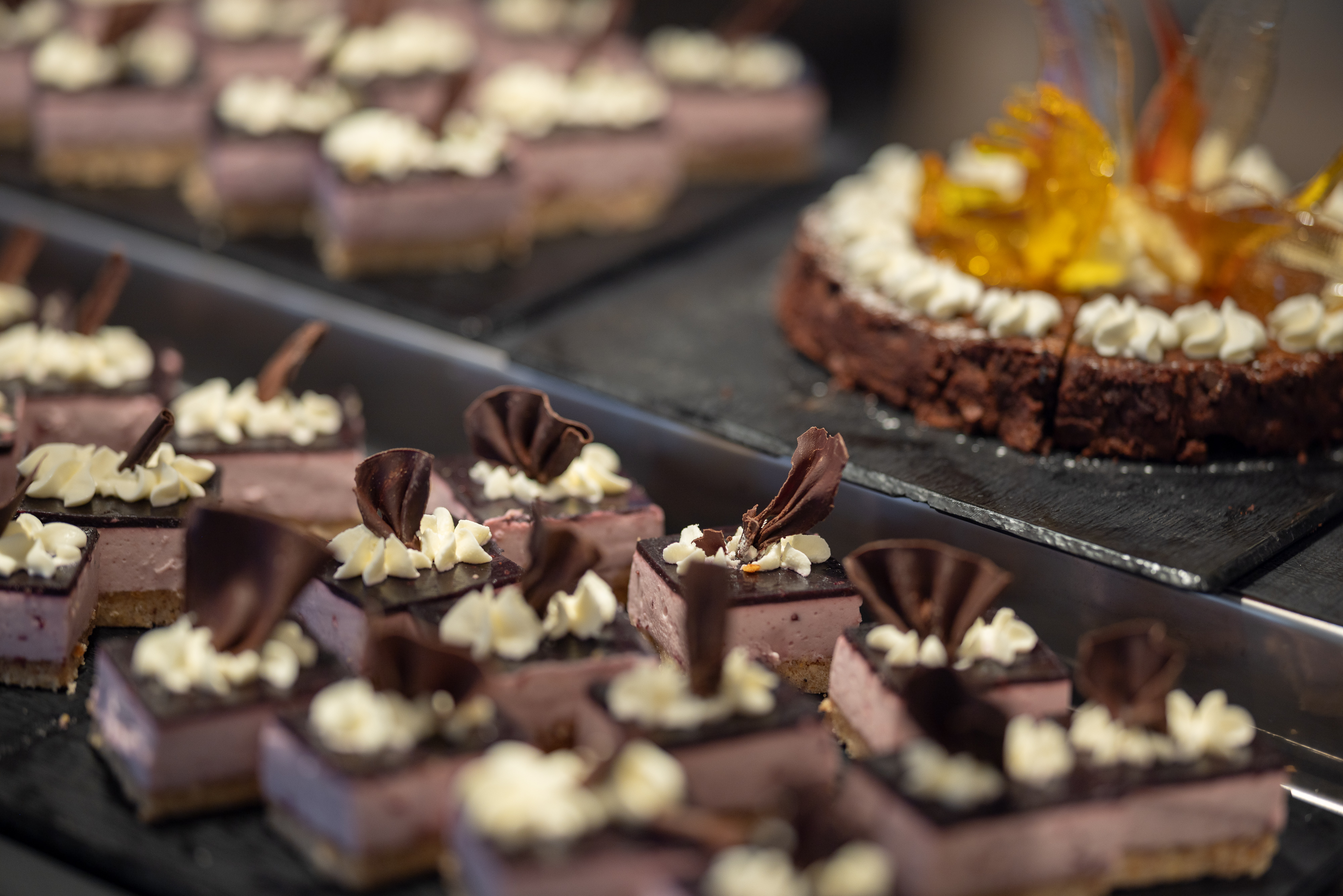 MS Spitsbergen - Aune